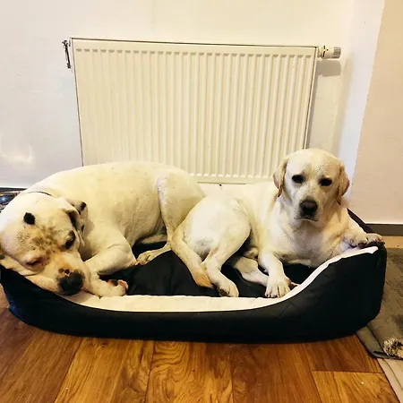 Osada Pogodno بيت للعطل