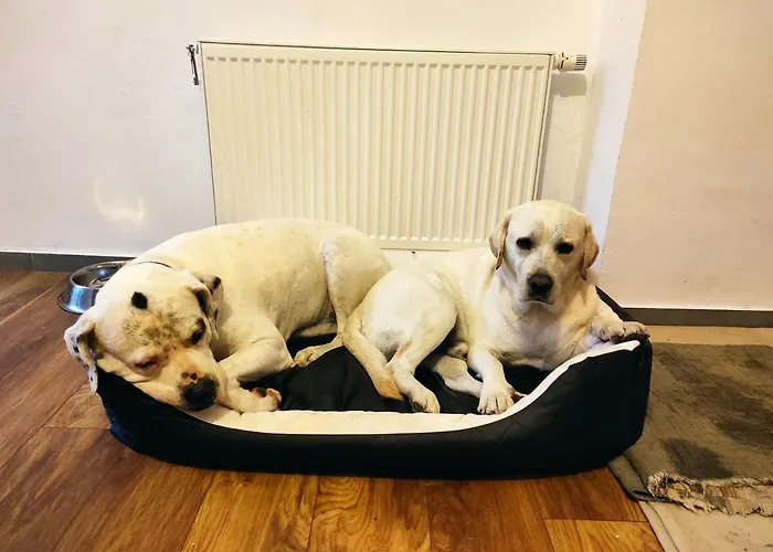 Osada Pogodno Tatil Evi